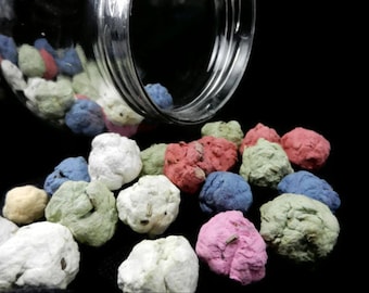 Seed Bombs  Throw and Grow - 10 bombs - Plantable Paper