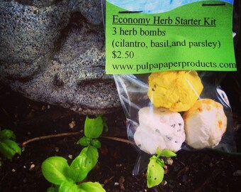 Economy Herb Kit - Basil, Parsely, & Cilantro