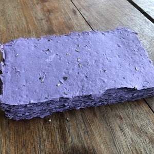 Fogli di carta con semi viola scuro - 10 pezzi