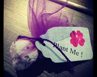 Seed Bomb Tulle Favor with "Plant Me" Tag - 50 count