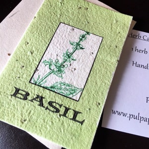 Basil Seeded Blank Card - piantami!