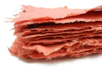Wildlfower Seed Paper - 8.5x11 - any shade