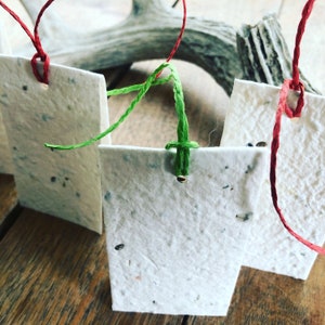 Wildflower Seeded Tented Gift Tags - Set di 4