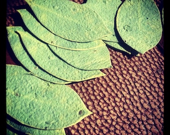 50 Wildflower Seeded Handmade Paper Leaf Favors