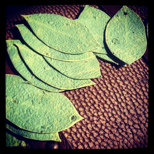 50 Wildflower Seeded Handmade Paper Leaf Favors