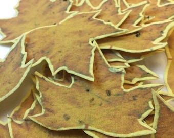 Yellow Wildflower Seeded Fall Leaves