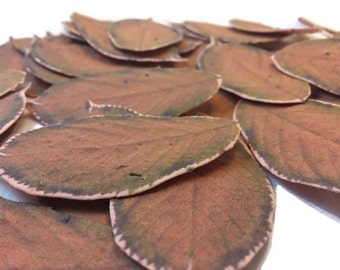 Orange/Brown Wildflower Seeded Fall Leaves