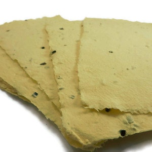 Hojas de papel con semillas amarillas - 10 unidades
