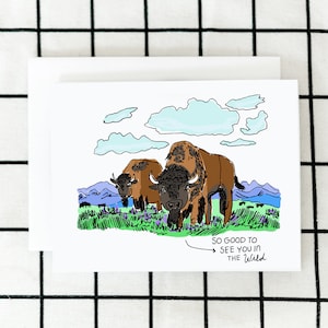 Bison Card, Out West Card, Art Card, Illustrated Card, Greeting Card, Blank Note Card