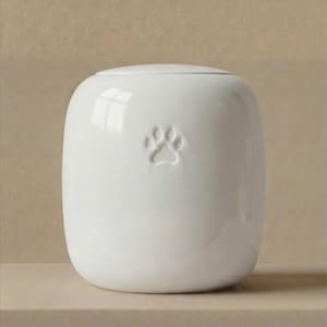 May include: A smooth, white ceramic vessel with a rounded, cylindrical shape and a flat lid. The front of the container features a single, embossed paw print centered on the surface. The finish is glossy and reflective, highlighting the clean lines.