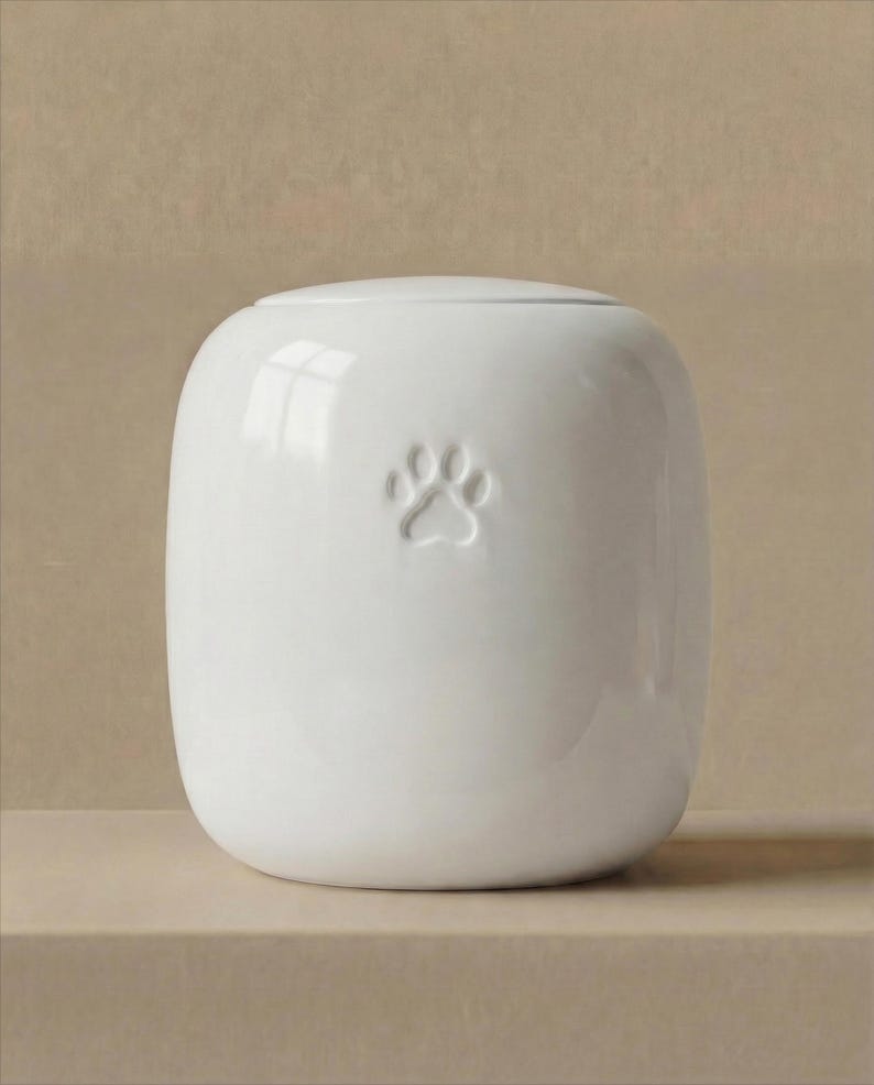 May include: A smooth, white ceramic vessel with a rounded, cylindrical shape and a flat lid. The front of the container features a single, embossed paw print centered on the surface. The finish is glossy and reflective, highlighting the clean lines.