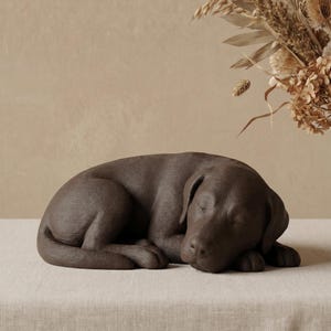 Può includere: Una scultura in ceramica marrone di un cane che dorme. Il cane è rannicchiato con gli occhi chiusi, appoggiato su una superficie di colore neutro. La scultura è dettagliata e realistica, catturando la forma e la postura del cane.