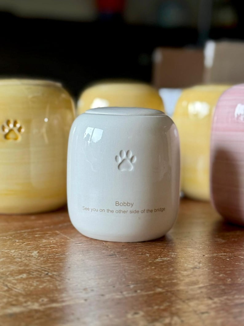 May include: A white ceramic urn with a smooth, glossy finish. The front features an embossed paw print above the text "Bobby" and "See you on the other side of the bridge." The cylindrical container has a rounded top and a flat base.