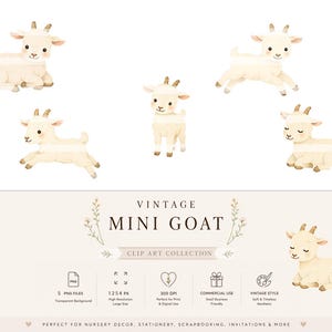 Könnte beinhalten: Eine digitale Clip-Art-Sammlung mit sechs Aquarellillustrationen von cremefarbenen Zicklein in verschiedenen Posen. Der Text lautet VINTAGE MINI GOAT CLIP ART COLLECTION, 5 PNG FILES, 1254 PX, 300 DPI, COMMERCIAL USE, VINTAGE STYLE.