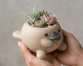 Einzigartiger 3D Gedruckter Blumentopf | Geometrischer Sukkulenten Topf | Zimmerpflanze Schreibtisch Dekor | Künstlerisches Wohndekor Geschenk | Geschenkidee für Pflanzenliebhaber