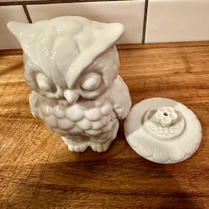 May include: A white ceramic owl-shaped jar with a removable lid. The owl features textured feather details and closed eyes. The circular lid has a scalloped edge and a small flower-shaped knob in the center, matching the glossy white finish.