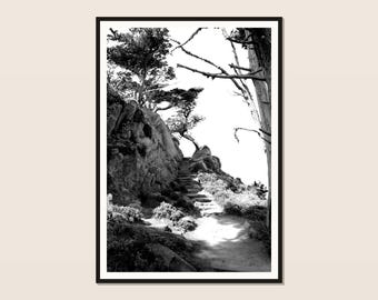 Point Lobos-cipressentrapprint | Zwart-witte kustkunst (digitale download)