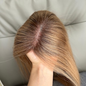 Puede incluir: Un postizo de cabello castaño claro con una base de monofilamento y una raya de encaje visible. El cabello es liso, suave y presenta múltiples tonos, combinando reflejos castaños claros y rubios para un aspecto natural.