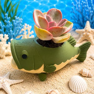 May include: A green and cream-colored fish-shaped planter featuring a wide mouth opening that holds a single succulent plant with pink and green leaves. The planter has a textured surface, a dark eye, and visible fins on the sides and tail.