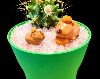 Capy Family cactus planter