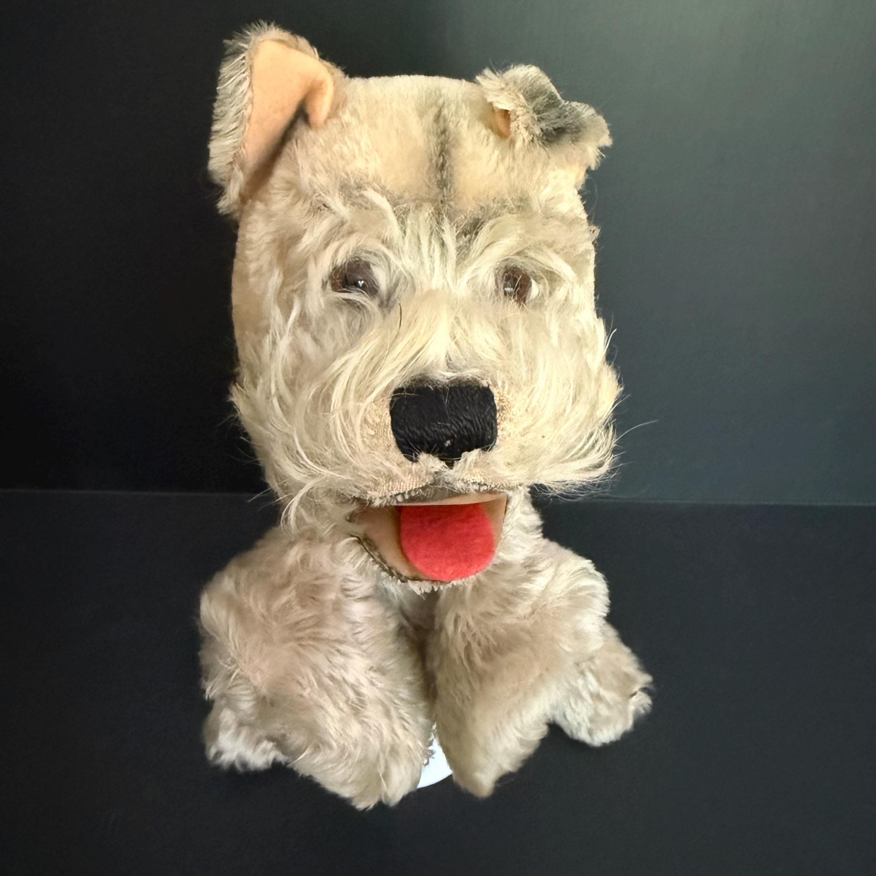 Steiff schnauzer - Etsy 日本