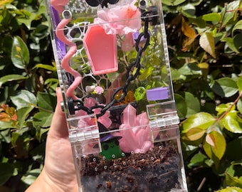 Spooky Jumping Spider Enclosure