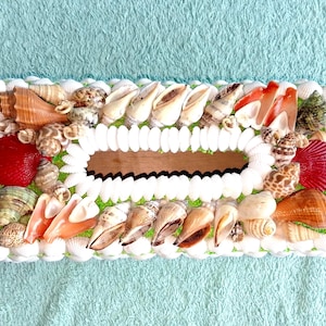 May include: Rectangular tissue box cover decorated with various seashells. The box features a white and green border, and a central opening for tissue dispensing. Shells are in shades of brown, orange, red, and white.