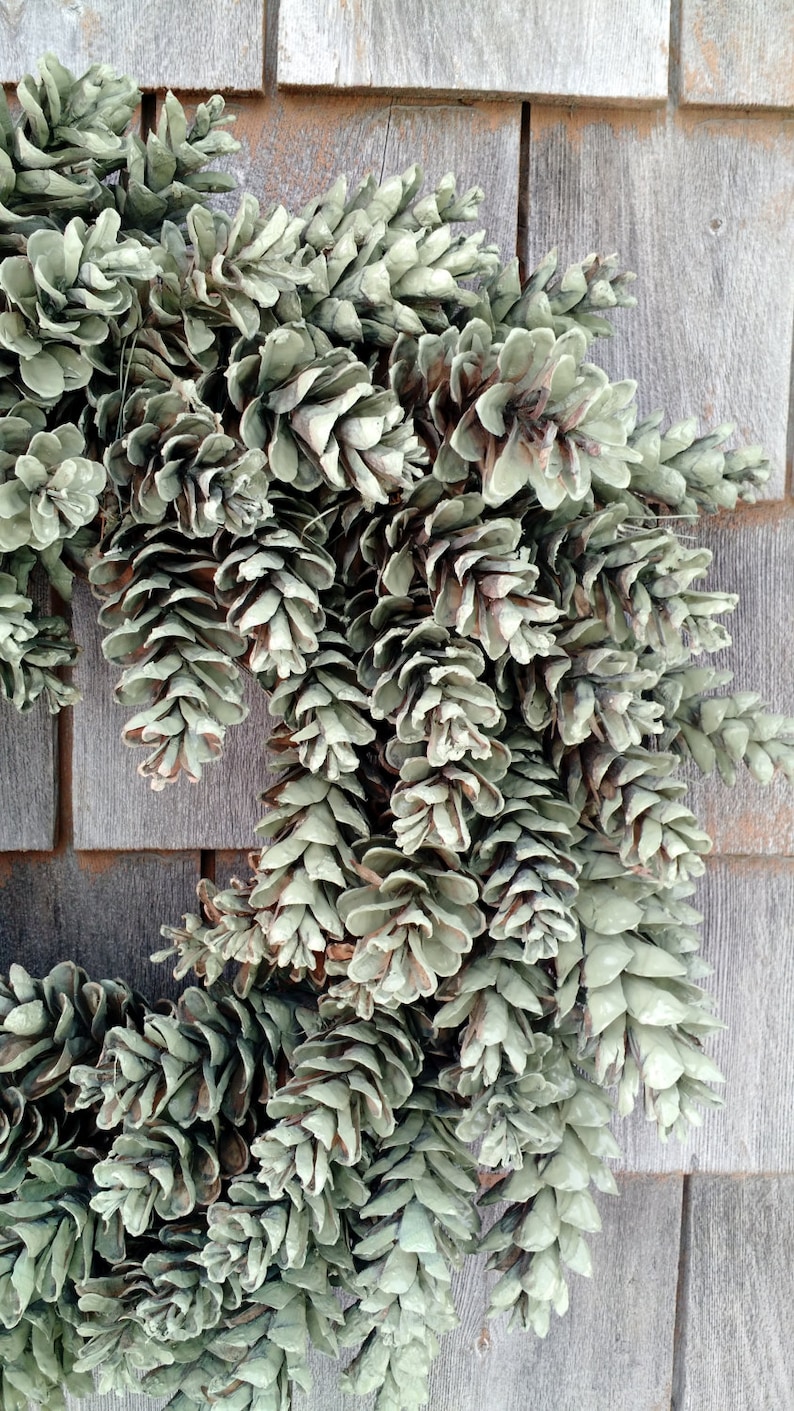Maine Pinecone Wreath in Sage Green image 2