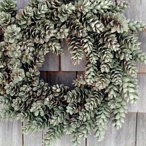 Maine Pinecone Wreath in Sage Green image 1