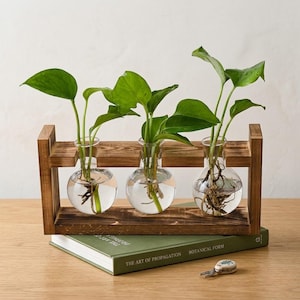 卓上水耕栽培植物育成スタンド - ハート型グローブダイヤモンドガラス花瓶（木製フレーム付き）、ユニークで美しいホームデコレーション、オフィスギフト