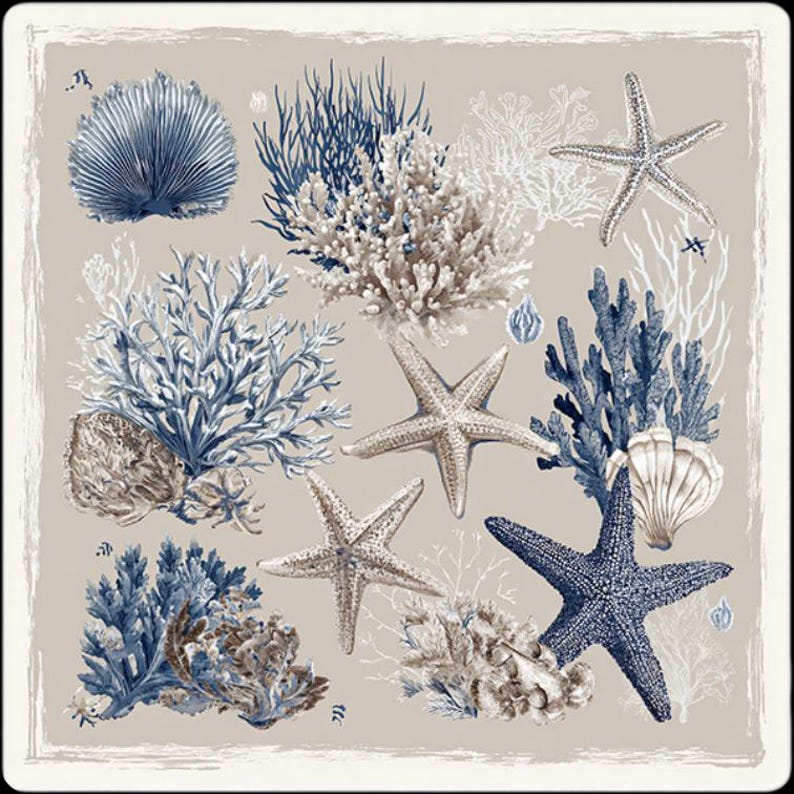 May include: A square design with a beige backdrop, showcasing illustrations of marine life. The image includes starfish, coral, and seashells in blue, white, and beige. The design has a vintage, nautical theme.