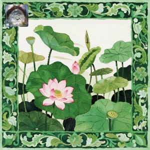 Minimal lotus botanical mat artwork with one blooming pink lotus flower surrounded by layered green leaves, seed pods, and a rich ornamental border in soft green tones.