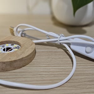 Radiant Glow LED-trälampsfot för kristallskål