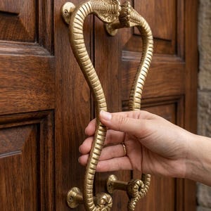 Può includere: Una maniglia per porta in ottone a forma di coppia di cobra con squame testurizzate, montata su una porta in legno marrone scuro. La maniglia presenta due teste di serpente in alto e code arrotolate in basso, fissate con viti a vista.