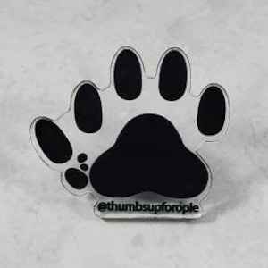 Buy Polydactyl Cat Online In India Etsy India
