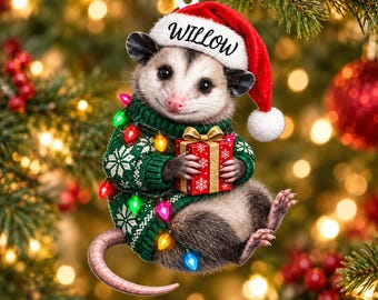 Personalisierte Opossum-Acrylfigur mit individuellem Namen, Weihnachtsmannmütze, Schneeflockenpullover, Geschenk und Lichterkette