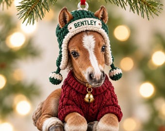 Adorno acrílico personalizado de potro, suéter de punto rojo, gorro de invierno verde, campana, nombre personalizado