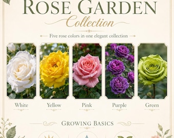 Jardín de Rosas Arcoíris — Colección de semillas de arbustos de 5 colores