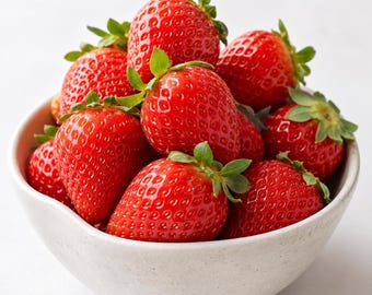 Plantas de fresa Jewel a raíz desnuda: 10 plántulas vivas que darán frutos en junio.