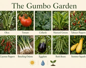 The Gumbo Garden — Southern Heirloom Vegetable Seed Kit, 10 Soul Food Varieties