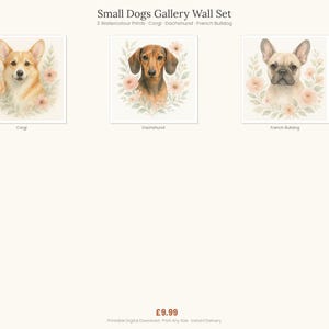 Small Dogs Gallery Wall Set, 3 Watercolour Prints, Corgi Dachshund French Bulldog, Printable Wall Art