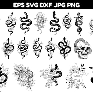 Ensemble SVG Serpent Floral : Motif céleste mystique, serpent pour Cricut, Silhouette, contour