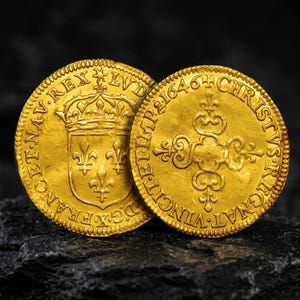 以下が含まれることがあります： 1646年と刻印された2枚の円形金貨。左側のコインには王冠を戴く3つのフルール・ド・リスの盾とLVDの文字が描かれている。右側のコインにはフルール・ド・リスの端を持つ十字架とCHRISTVS VINCIT ET REGNATの文字が刻まれている。