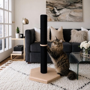 Pode incluir: Um arranhador para gatos alto e cilíndrico coberto com material preto texturizado, apresentando um anel de madeira clara no centro e uma base hexagonal robusta de madeira clara, concebido para o cuidado das garras felinas.
