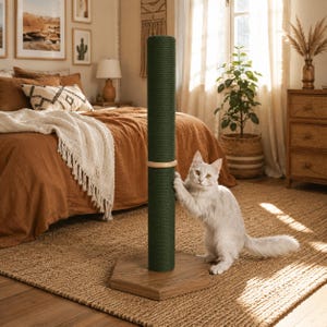 May include: A tall, cylindrical cat scratching post wrapped in dark green sisal rope, featuring a light-coloured wooden ring accent in the centre and a sturdy, hexagonal wooden base. A fluffy white cat is standing on its hind legs, scratching the post.