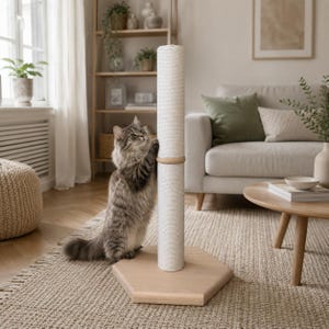 May include: A tall, cylindrical cat scratching post featuring a white, tightly wound rope texture. The post is mounted on a light-coloured, hexagonal wooden base and includes a smooth, circular wooden ring accent in the centre of the vertical column.