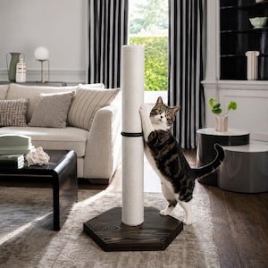 Könnte beinhalten: Ein Kratzbaum für Katzen mit einer hohen, zylindrischen, weiß umwickelten Sisalsäule auf einem dunkelbraunen, sechseckigen Holzsockel. Ein schmales, dunkles horizontales Band umschließt die Mitte des Pfostens und bildet einen Kontrast.