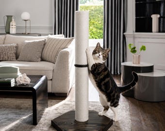 Modern Cat Furniture Scratching Post, Tall Indoor Cat Pole with Natural Pine Wood Base and Durable Rope