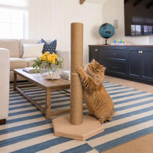 May include: A tall, cylindrical cat scratching post wrapped in tan sisal rope, mounted on a light-coloured wooden hexagonal base. A fluffy, long-haired orange cat is standing on its hind legs, gripping the post with its front paws.