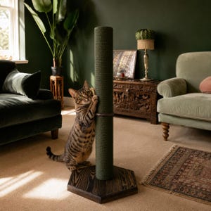 May include: A tall, cylindrical cat scratching post wrapped in dark olive green sisal rope, featuring a dark stained wooden hexagonal base. A brown tabby cat is standing on its hind legs, with its front paws resting against the textured post.